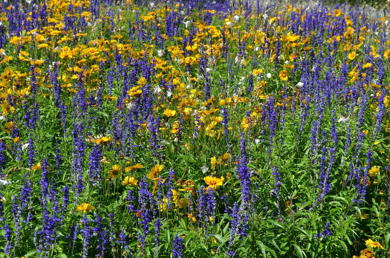 Blumen geschenk idee