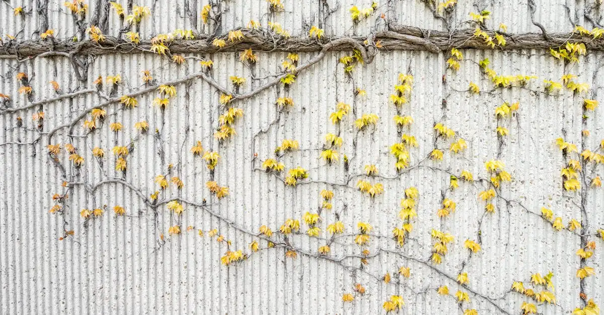 Wanddekoration pflanzen